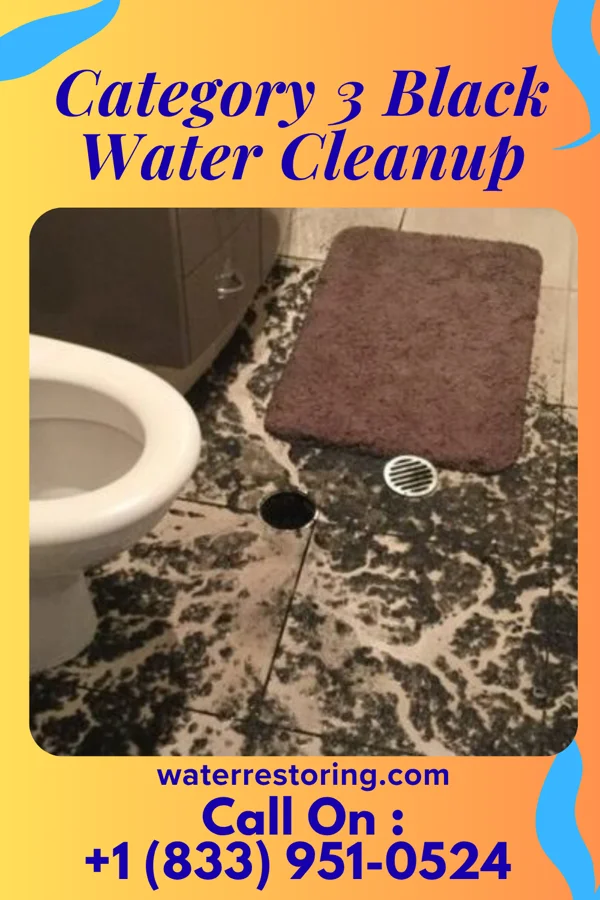 Category 3 Black Water Cleanup in Center Point, AR